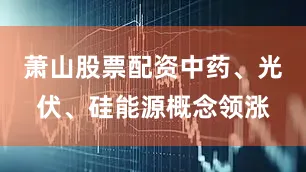 萧山股票配资中药、光伏、硅能源概念领涨